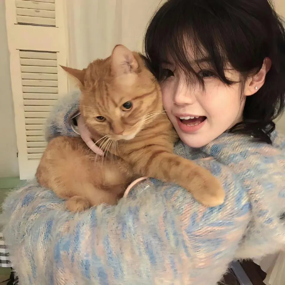 达伦·布朗：牺牲